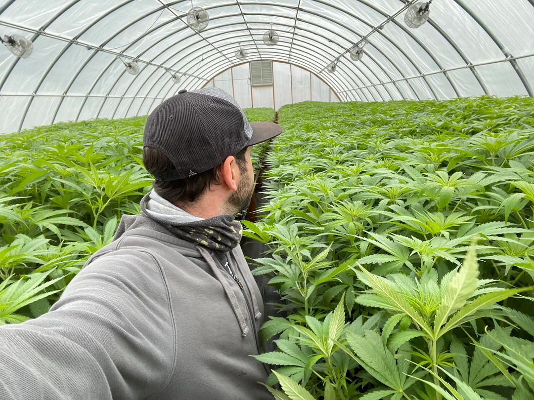 In the greenhouse