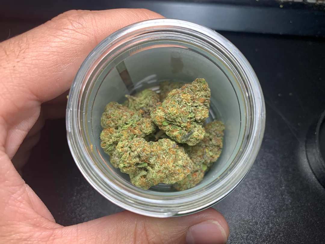 Blog CBD : Guides, Conseils & Actualites