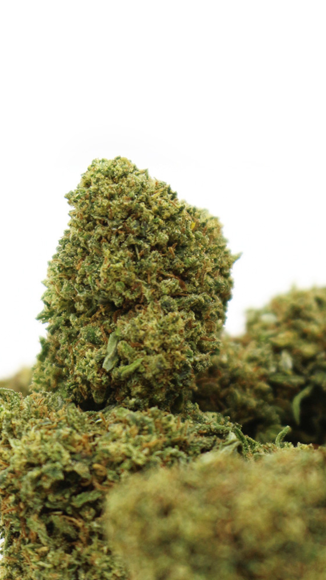 strawberry kush