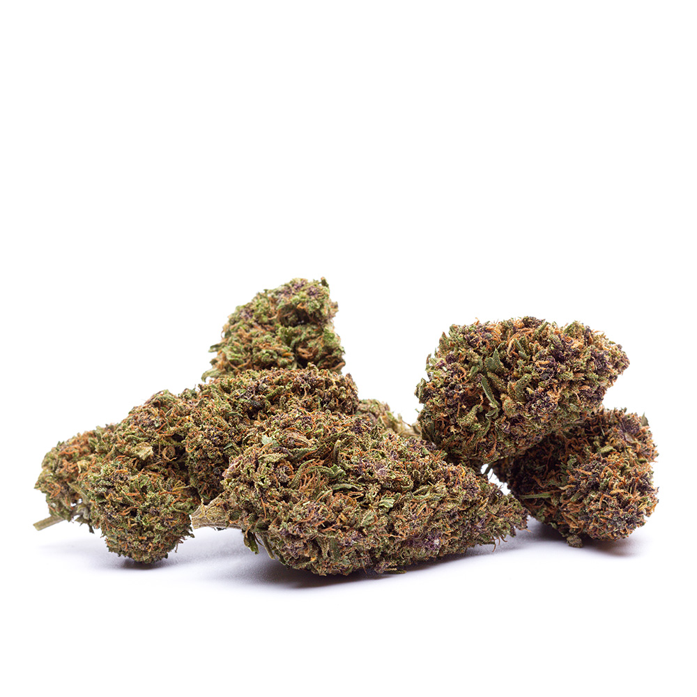 Une bud de CBD PURPLE RUNTZ