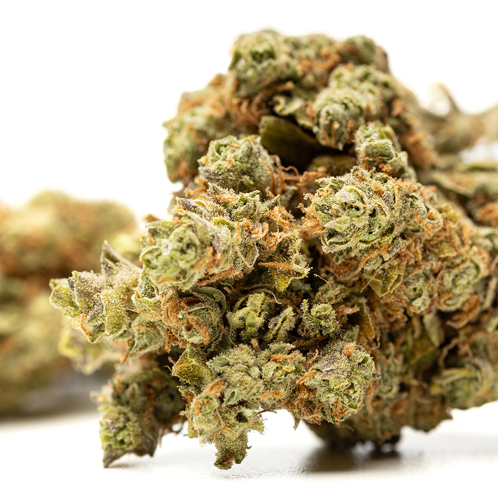Amnesia Haze #696