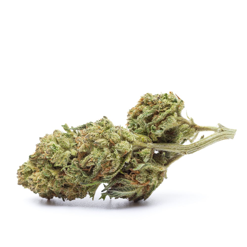 Durban Poison