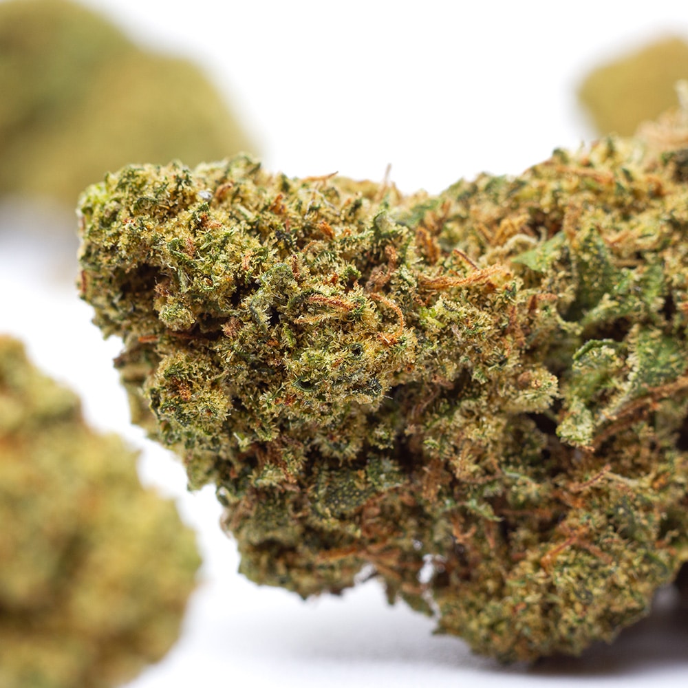 Kilogrammes LA Confidential Kush CBD