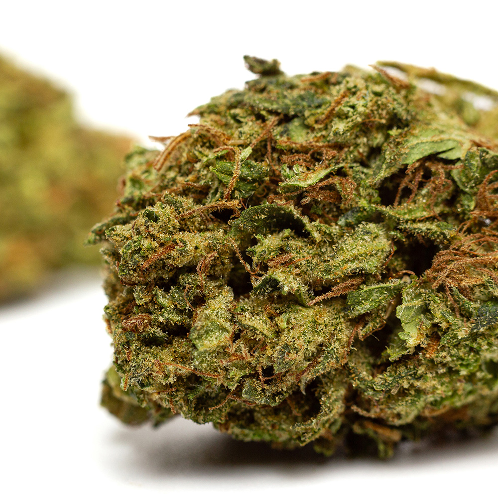 Bubble Gum CBD