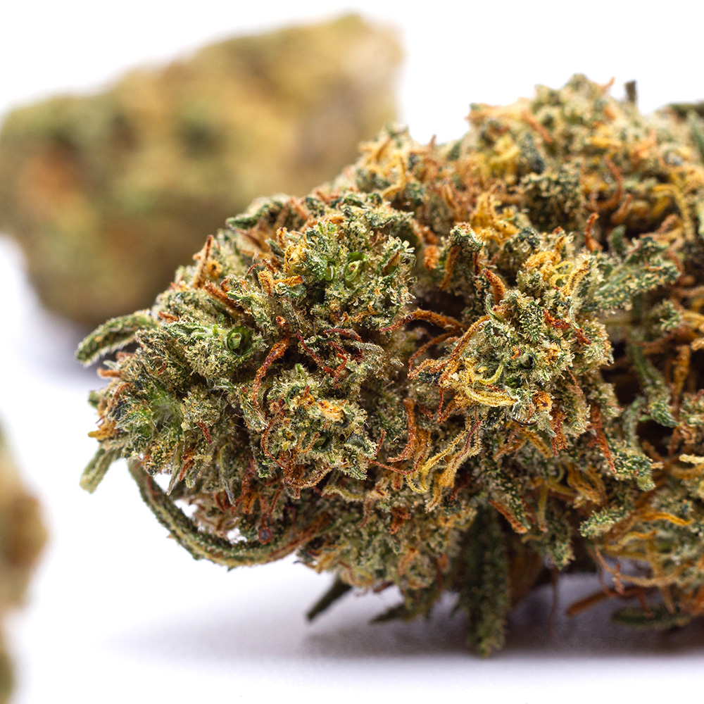 Triple cheese cbd by Kilogrammes