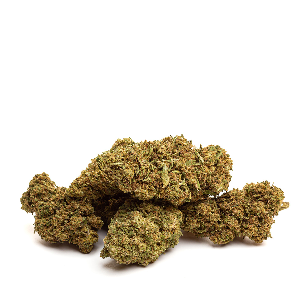 NYC Diesel
