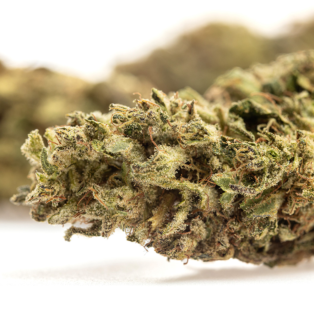 Lemon Zest