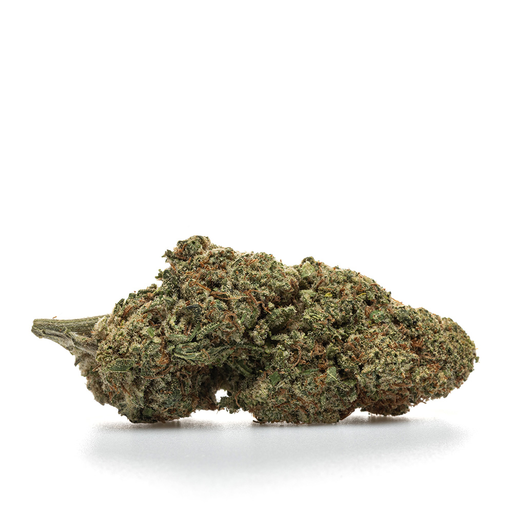 ALIEN OG – HYDRO