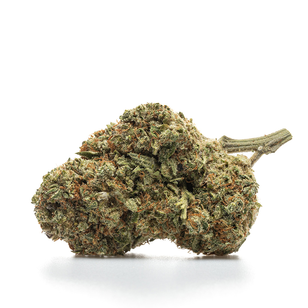 BLUEBERRY – HYDRO
