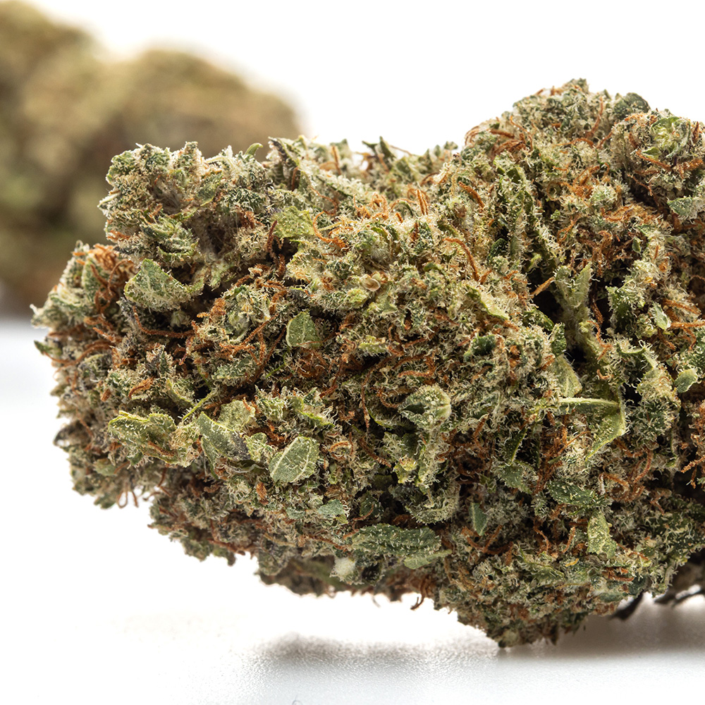 BLUEBERRY – HYDRO