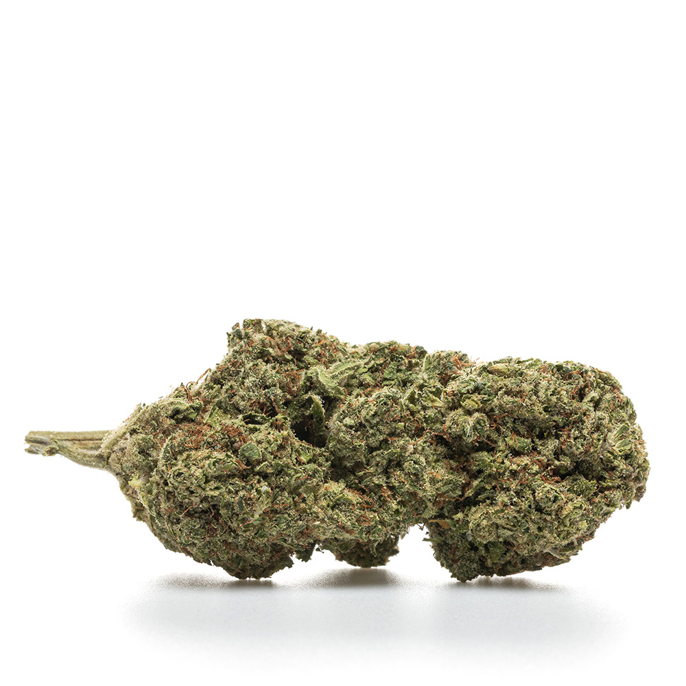 BUBBLE GUM – HYDRO