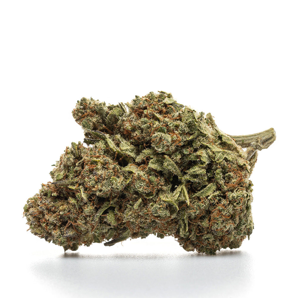 FORBIDDEN FRUIT – HYDRO