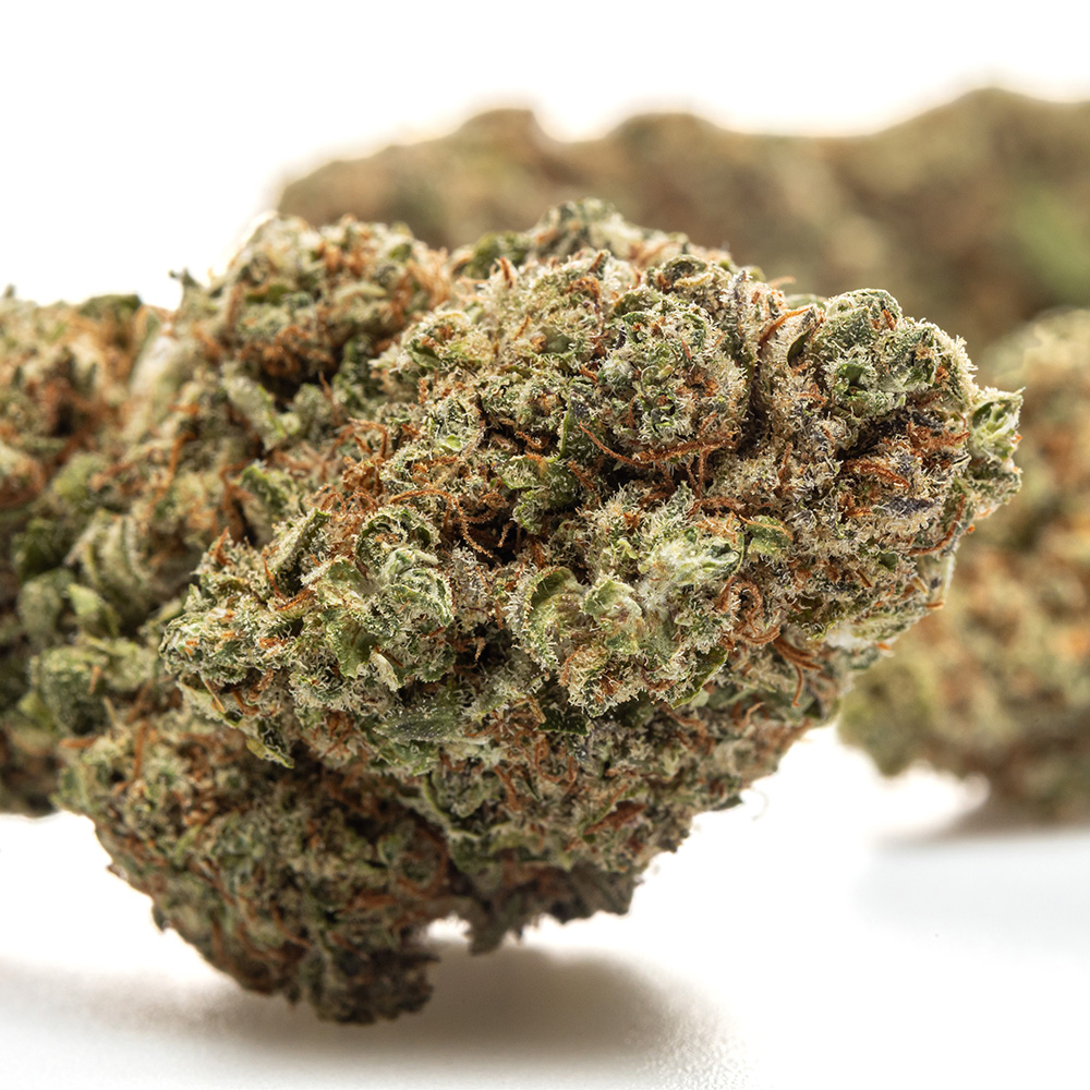 FORBIDDEN FRUIT – HYDRO