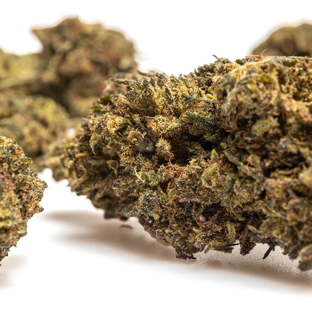 SUPER LEMON HAZE – THX