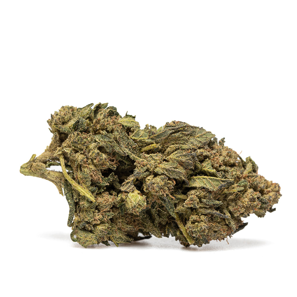 CANDY KUSH – THX