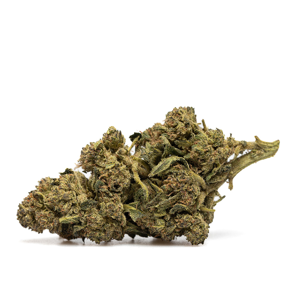 CANDY KUSH – THX