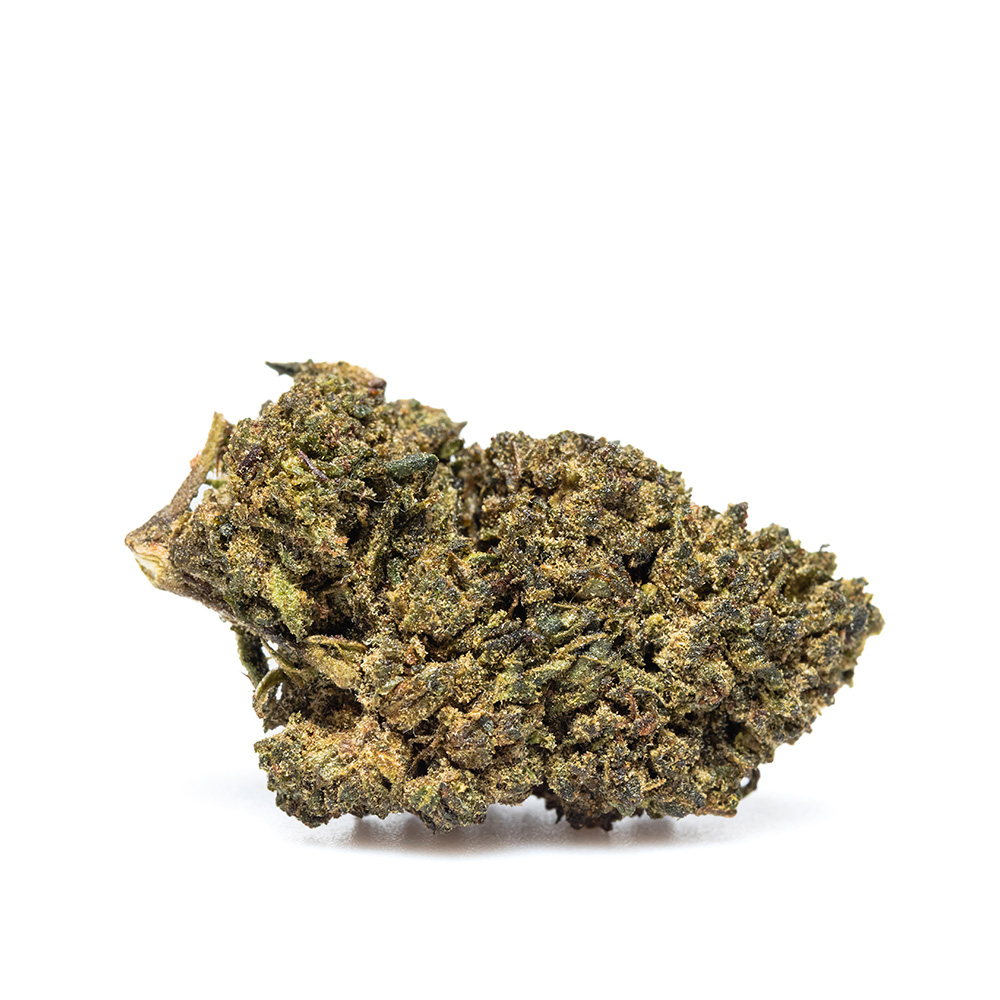 GORILLA GLUE #004 – THX