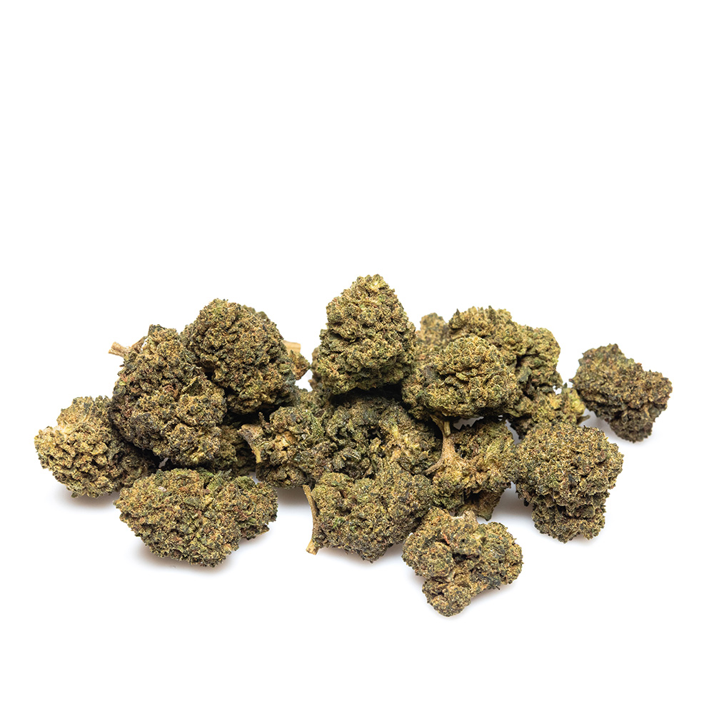 GORILLA GLUE #004 – THX