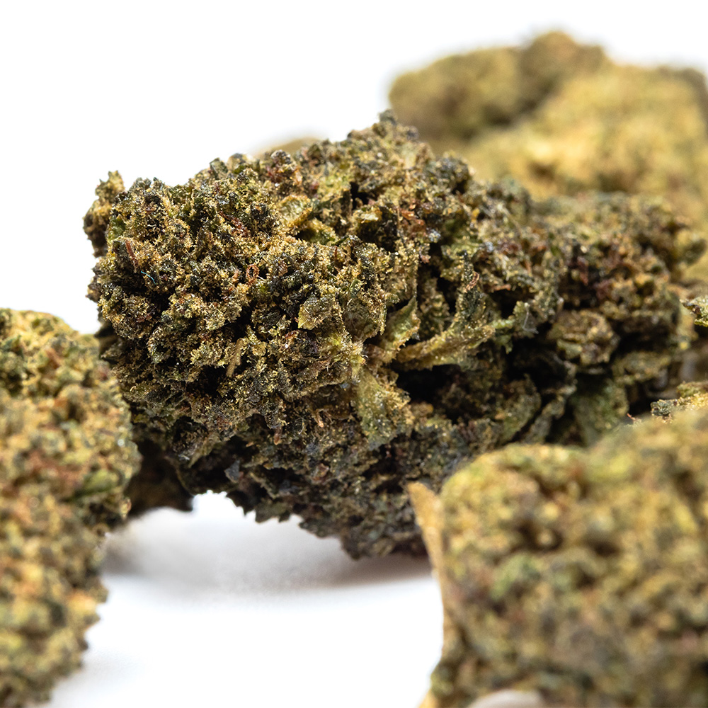 GORILLA GLUE #004 – THX