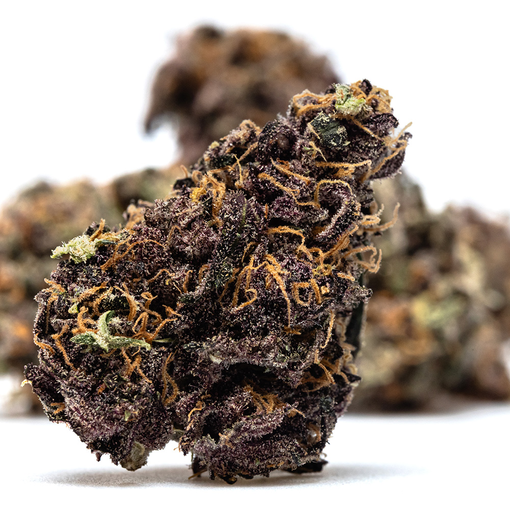 ORANGE FRITTER – HYDRO