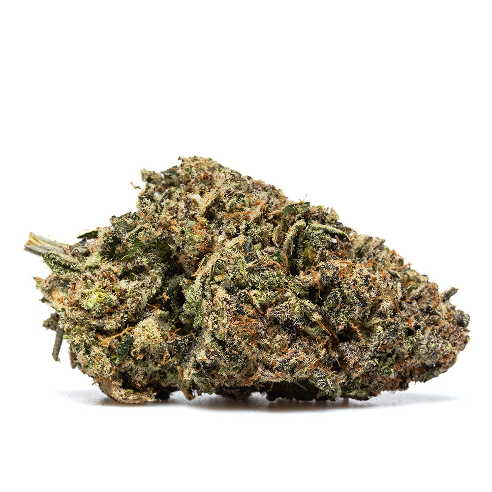 PAYTON'S LEMON S1 – HYDRO