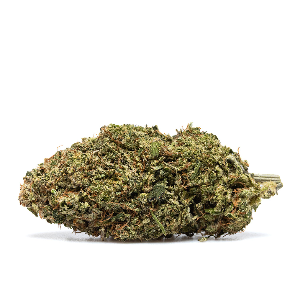 PINEAPPLE GUSHER – HYDRO